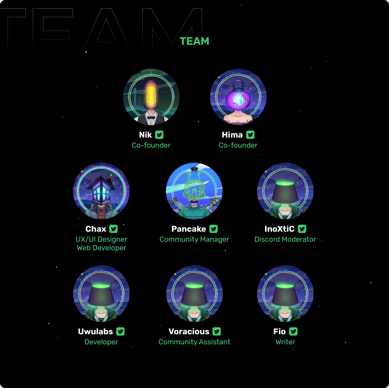 Team section